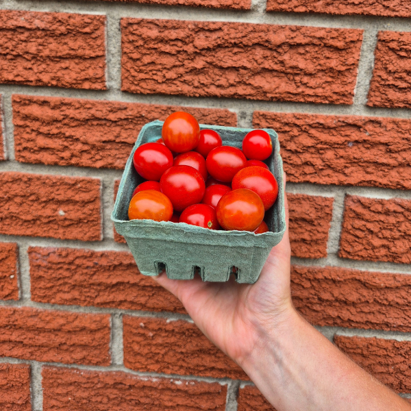 Cherry Tomatoes
